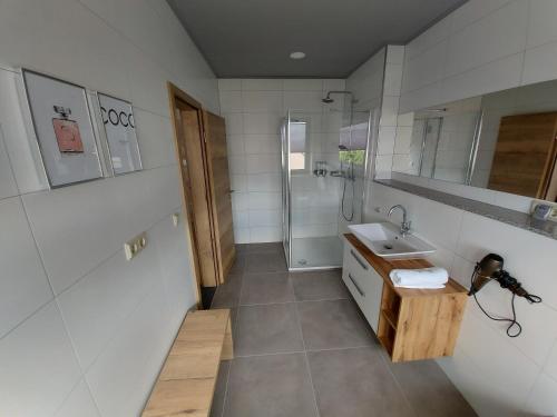 ein Bad mit einem Waschbecken und einer Dusche in der Unterkunft Ferienwohnung Nikolena in Pirmasens