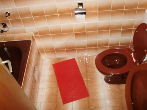 a bathroom with a toilet with a red towel at Villa Welcome in Vrboska