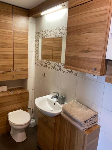 a bathroom with a sink and a toilet at Kawalerka Fredry 3/14 in Poznań