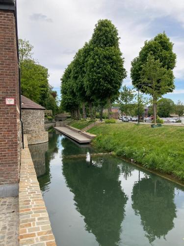 a river with ducks in the water next to a brick building at Le petit béguinage in Tongeren