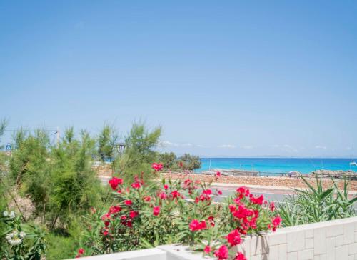 a view of the beach from a balcony with flowers at Cavall de Llevant - Formentera Break in Es Caló