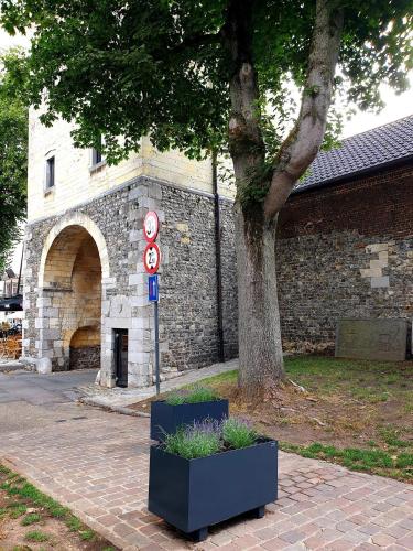 a building with a tree in front of a brick building at Le petit béguinage in Tongeren