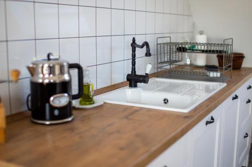eine Küchentheke mit einer Spüle und einem Mixer in der Unterkunft Blumenhuhnhof in Burg Kauper