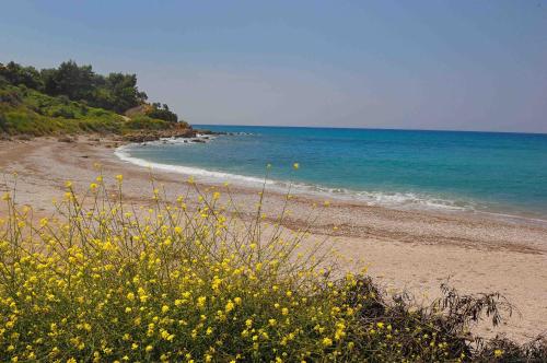 Φυσικό τοπίο κοντά σε αυτό το διαμέρισμα