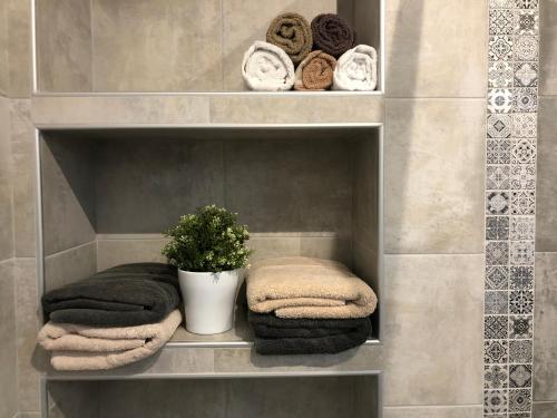 - une étagère avec des serviettes et une plante dans la salle de bains dans l'établissement BedinReims luxe wonderful calm in city center, ideal for 2 adults and 3 children free parking, à Reims