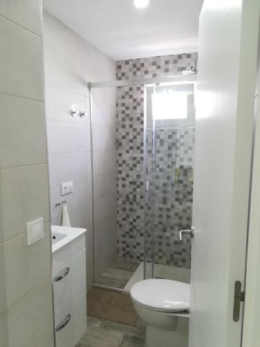 a bathroom with a shower and a toilet and a sink at Apartamento La Zarzuela in Zahara de los Atunes