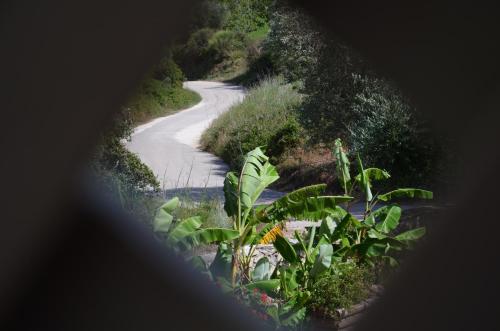 Φυσικό τοπίο κοντά σε αυτό το ξενοδοχείο διαμερισμάτων