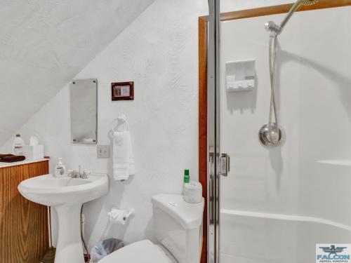 uma casa de banho com um WC, um lavatório e um chuveiro em Robins Nest Bed & Breakfast em Cody