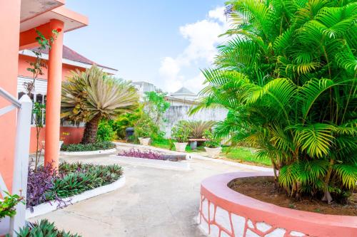 a garden with palm trees and other plants at Shields Negril Villas in Negril