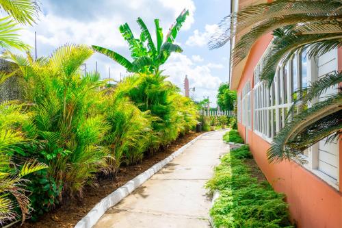 a sidewalk lined with palm trees next to a building at Shields Negril Villas in Negril