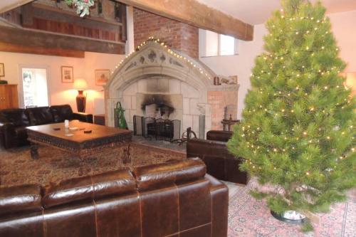 a living room with a christmas tree and a fireplace at The Old Flax Mill Yoga Retreat in Coleraine