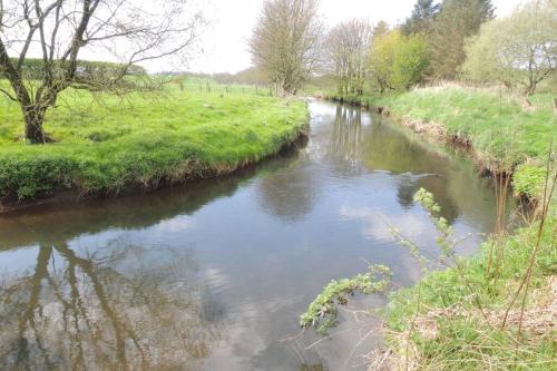 a river with trees and grass in a field at The Old Flax Mill Yoga Retreat in Coleraine