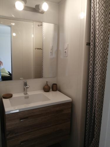 une salle de bain avec un lavabo et un miroir dans l'établissement Le petit nid, à Égletons