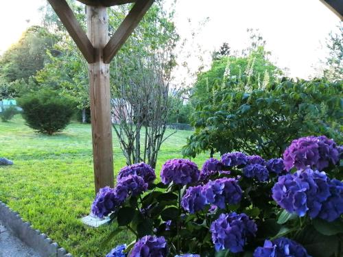 un jardín con flores púrpuras y pérgola de madera en Le petit nid, en Égletons