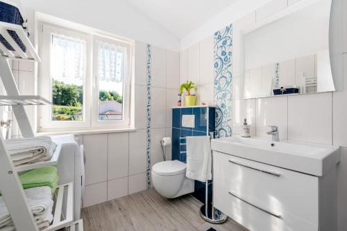 a bathroom with a toilet and a sink and a window at Villa Rose in Kršan