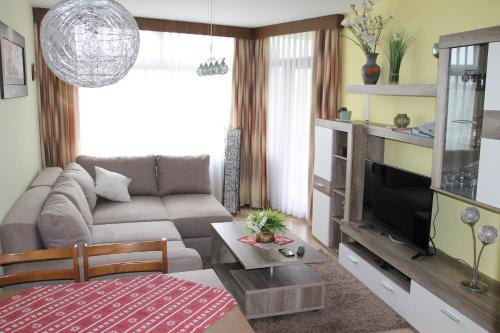 uma sala de estar com um sofá e uma televisão em Apartment Schluchsee em Schluchsee