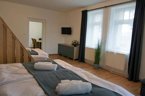 2 Betten in einem Zimmer mit 2 großen Fenstern in der Unterkunft Apartmány Krásná Lípa in Krásná Lípa