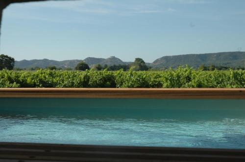 a view of a vineyard from a train window at Domaine de Sévanes in Saint-Paul-les-Fonts