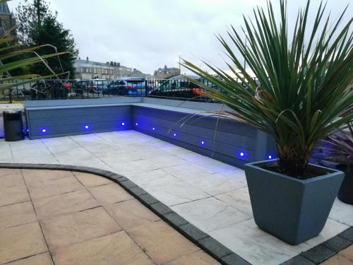 a potted plant sitting on a patio with blue lights at Balmoral in Morecambe