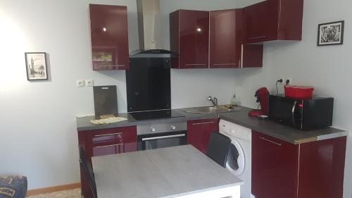 a kitchen with purple cabinets and a washer and sink at Le refuge - F1 - rez-de-chaussée in Épinal