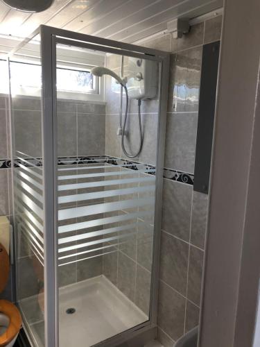 a shower with a glass door in a bathroom at Chalet18 in Carmarthen