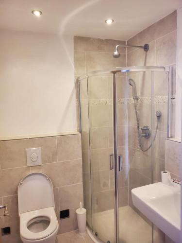 a bathroom with a shower and a toilet and a sink at Grand Norfolk in Mundesley