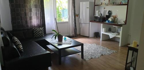 a living room with a couch and a coffee table at Vila Curtea de Arges in Curtea de Argeş