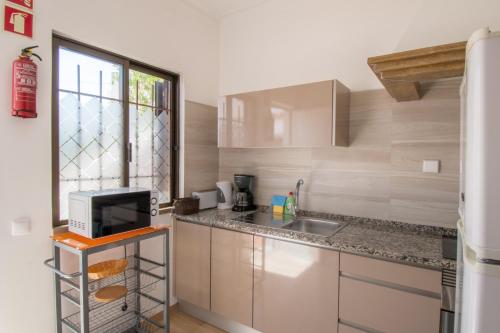 Una cocina o zona de cocina en Apartamentos Pinto