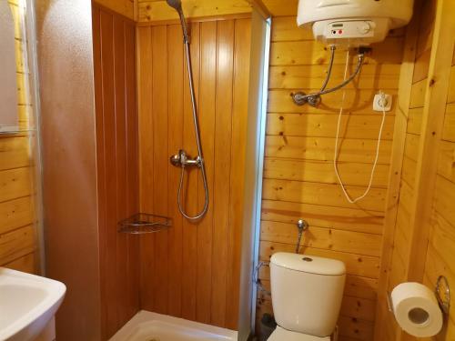 a small bathroom with a toilet and a shower at Noclegi nad Soliną in Solina