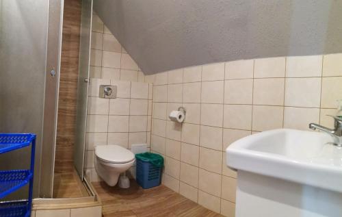 a bathroom with a toilet and a sink at Noclegi nad Soliną in Solina
