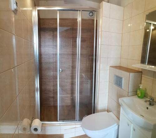 a bathroom with a shower with a toilet and a sink at Noclegi nad Soliną in Solina