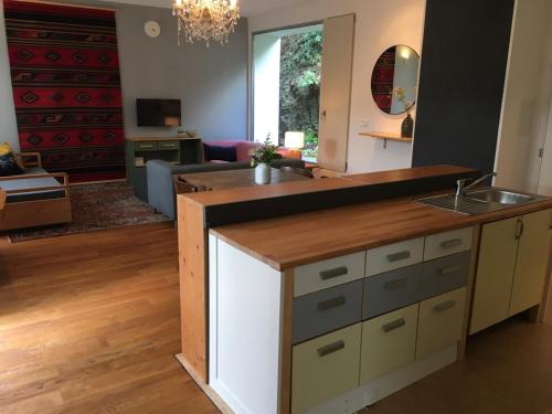 a kitchen with a sink and a living room at Apartmán pod Velkou Amerikou in Mořina
