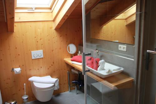 a bathroom with a toilet and a sink at Haus Bergblick in Rieden am Forggensee