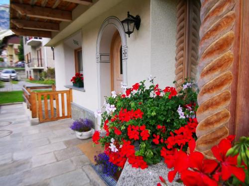 a bunch of red flowers in front of a house at Chalet Ceppo in Bormio