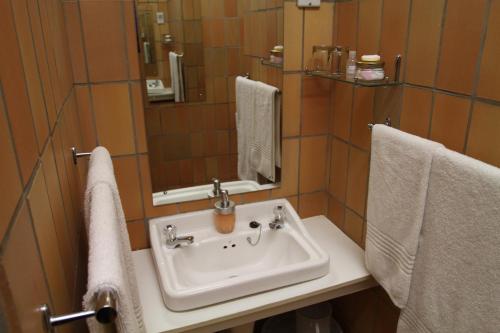 a bathroom with a sink and a mirror and towels at Toverberg Guest Houses in Colesberg
