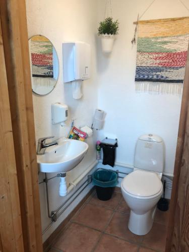 a bathroom with a toilet and a sink at Bengtssons Loge in Simrishamn