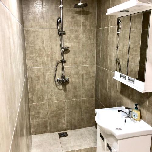 a bathroom with a shower and a sink at Apartment Tesla in Pančevo