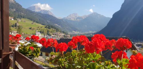 un mazzo di fiori rossi su un balcone con montagne di Appartamento panoramico Campitello di Fassa a Campitello di Fassa