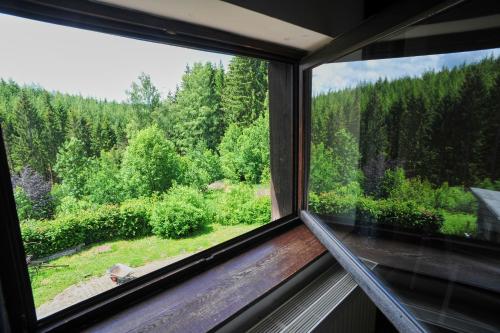 a window with a view of a forest at La Babillarde in Auby-sur-Semois