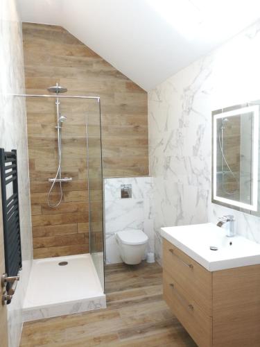 une salle de bain avec une douche, des toilettes et un lavabo dans l'établissement Villa Carlotta - Sea resort, à Dieppe