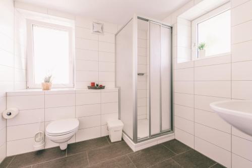 a white bathroom with a toilet and a sink at Karlingerhaus in Königswiesen