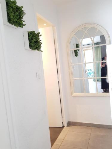 Studio Center Cannes grande Terasse