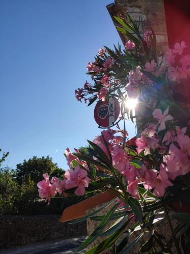 Chez Laurette – Photos 4