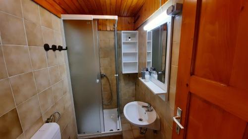 a small bathroom with a sink and a shower at Forrest House in Golnik