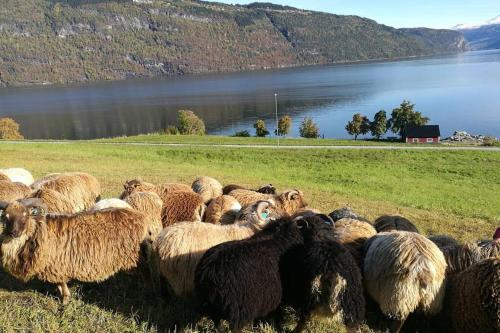 Gallery image of Nordfjordcabins Utvik in Utvik