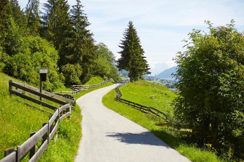 a winding road in a field with trees and a fence at Gasthof Gröbenhof in Fulpmes