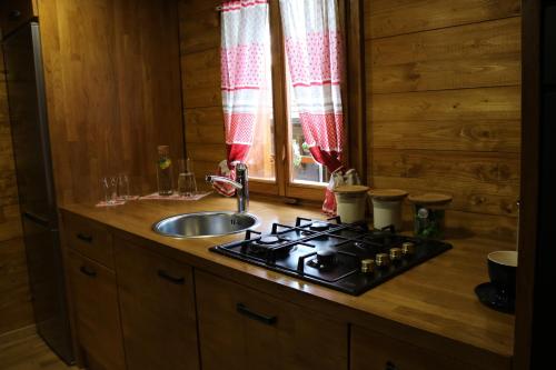 Una cocina con estufa, fregadero y ventana. en Holiday Home Lina, en Pleškovec