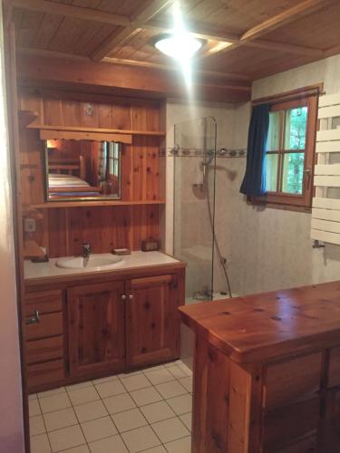 a bathroom with a sink and a shower at L'Atelier in Les Contamines-Montjoie