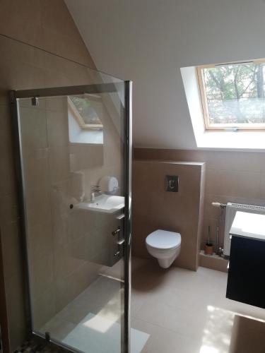 a bathroom with a glass shower and a toilet at Levanda Panzió in Kópháza