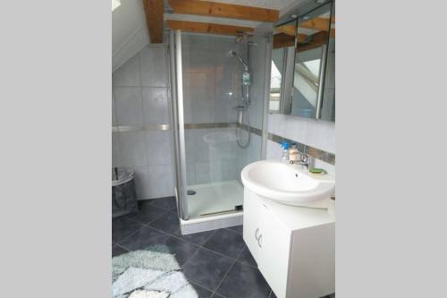 a bathroom with a sink and a shower at Ferienwohnung Roswitha in Blieskastel in Biesingen